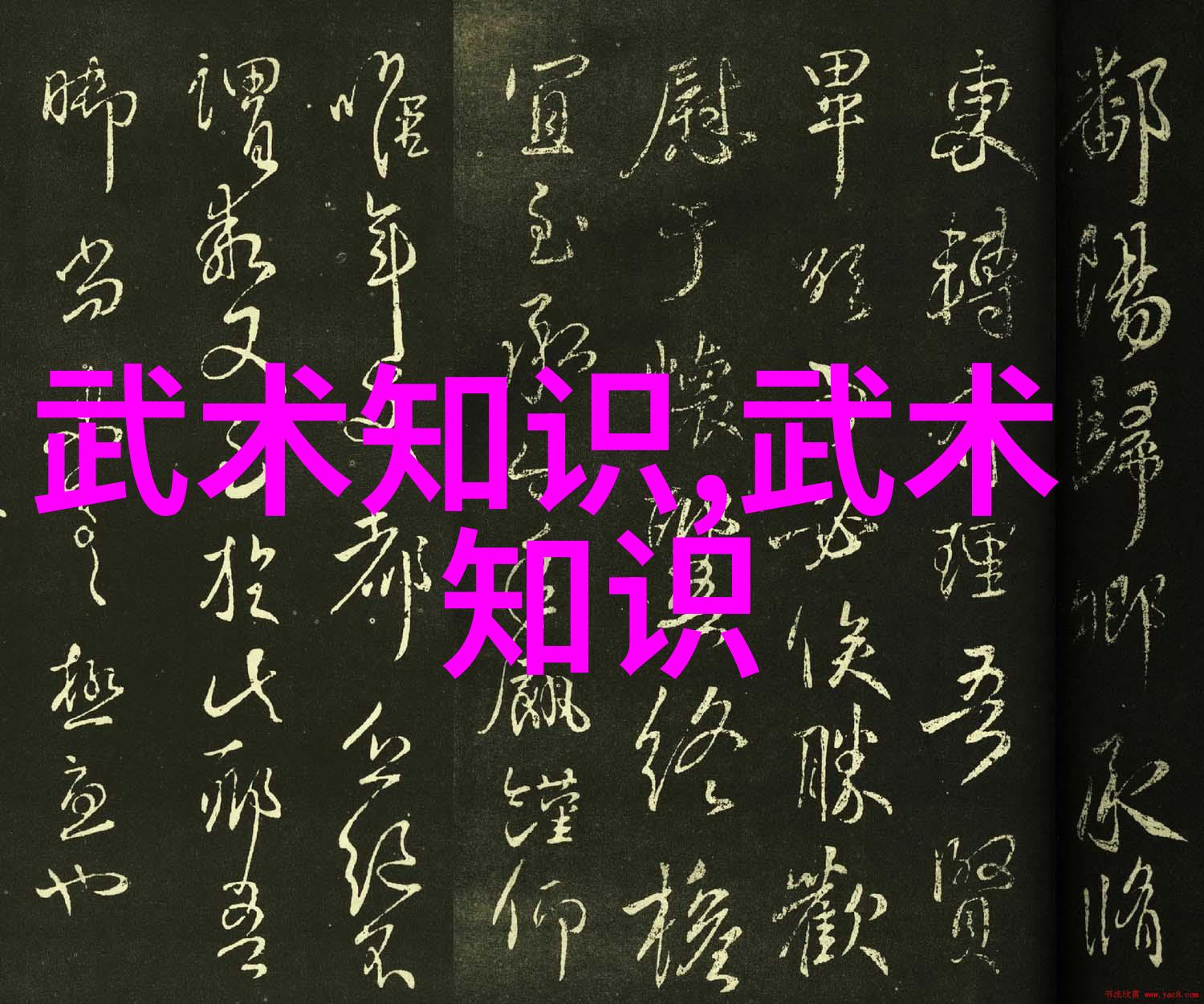 中国现在最厉害的门派 - 武林新风尚揭秘当代中国最强大的内功心法