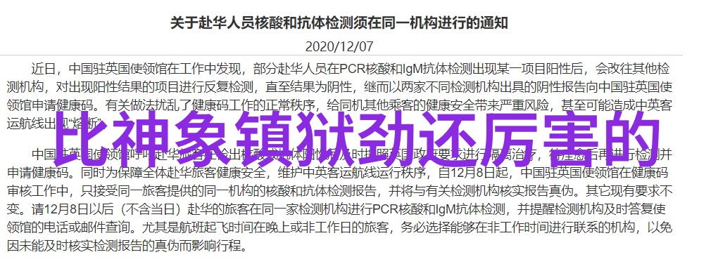 门派拳种啻善门南拳与华拳哪个更强