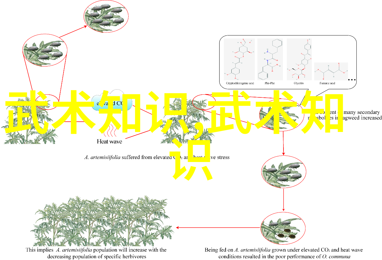 中国武术之巅探索最著名的内家外家流派