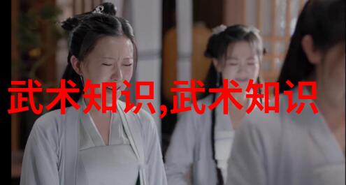 穿越系统的女配角紧密追随NPC穿越系统中的女配角与非玩家角色紧密相依的故事