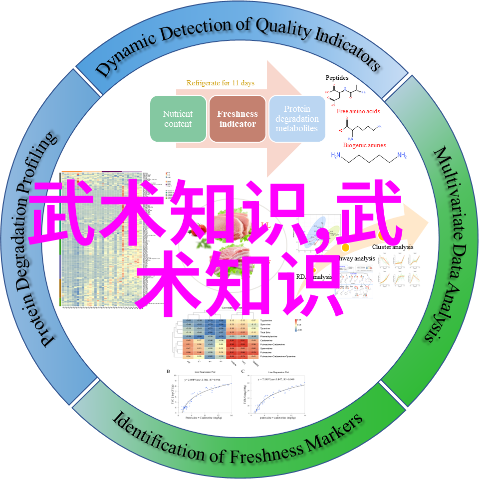 武林秘笈我行独门自学八法拳24式大破天工