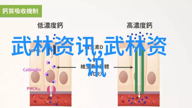 炼气悟道超脱尘世深入研究十大最强武功秘籍