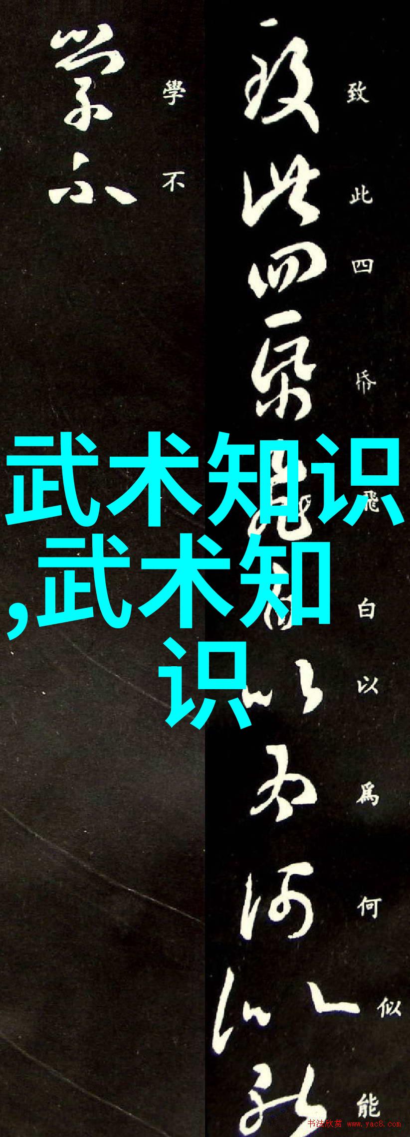 哪个门派武功最厉害藏武门拳种中的佼佼者