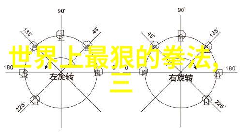 从师傅到弟子从拳法到心法记录中国三十家名校的教育传承