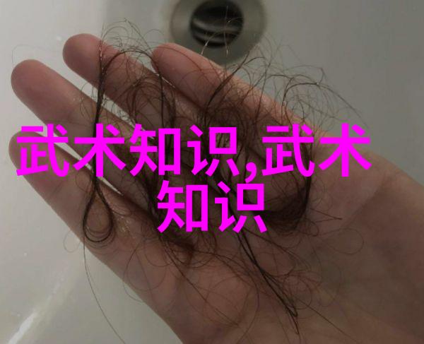 傅式形意内家拳女生帮派月华盟掌门人林小寒