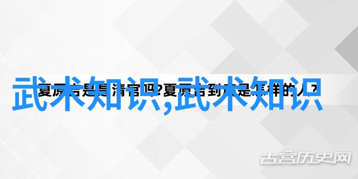 少儿散打武术 - 少儿健体与自我防卫的双刃剑