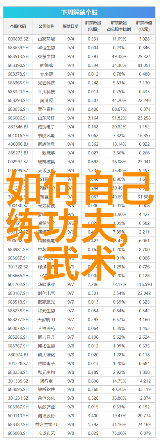 武林帮派之傅式形意拳霸气门派拳种