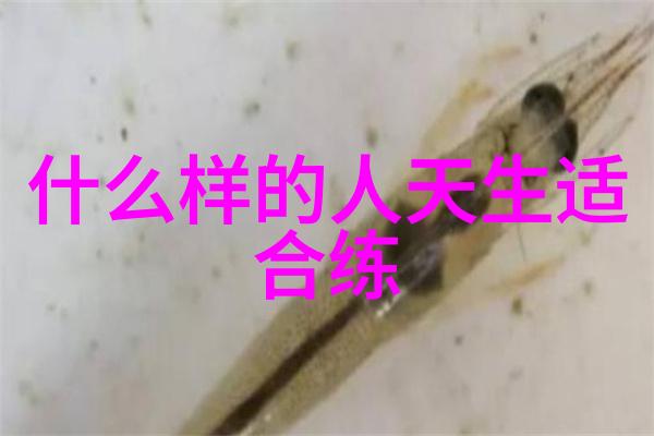 校园黑道帮派之风暴联盟校园黑道帮派的强大存在