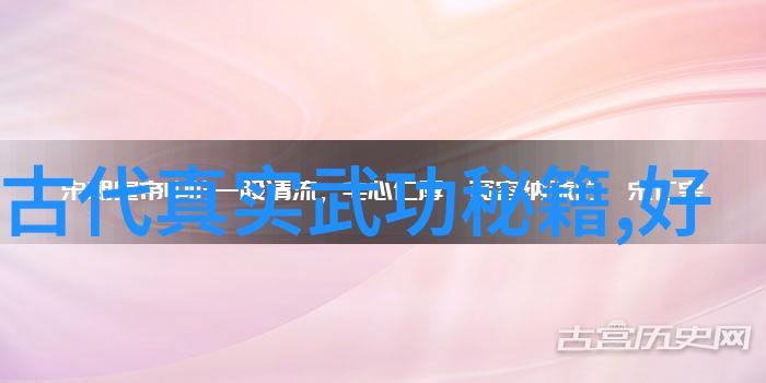 揭秘中国武术十大拳法排名古老智慧的现代体现