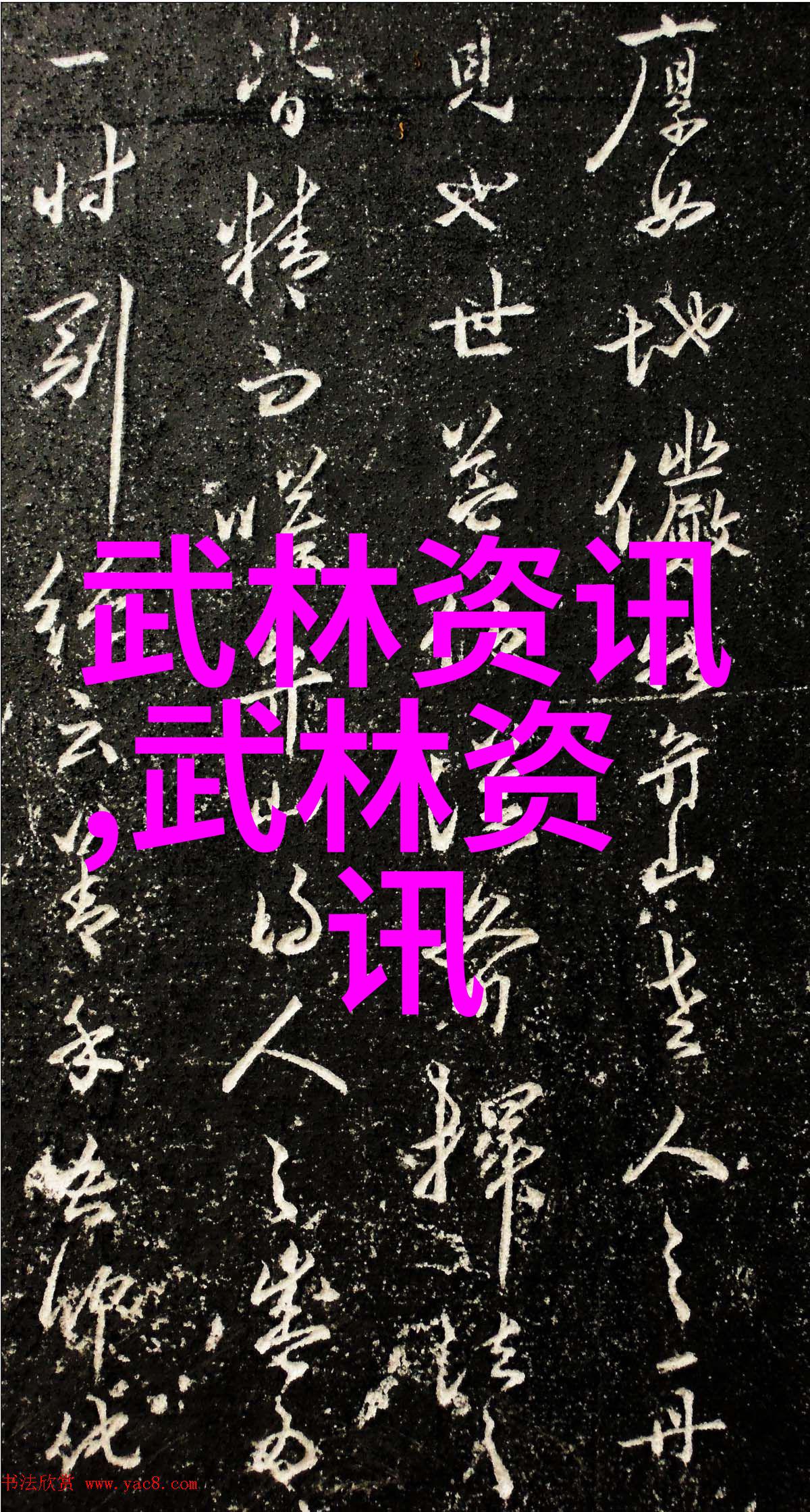 江湖杀手组织古代暗流涌动的刺客之名