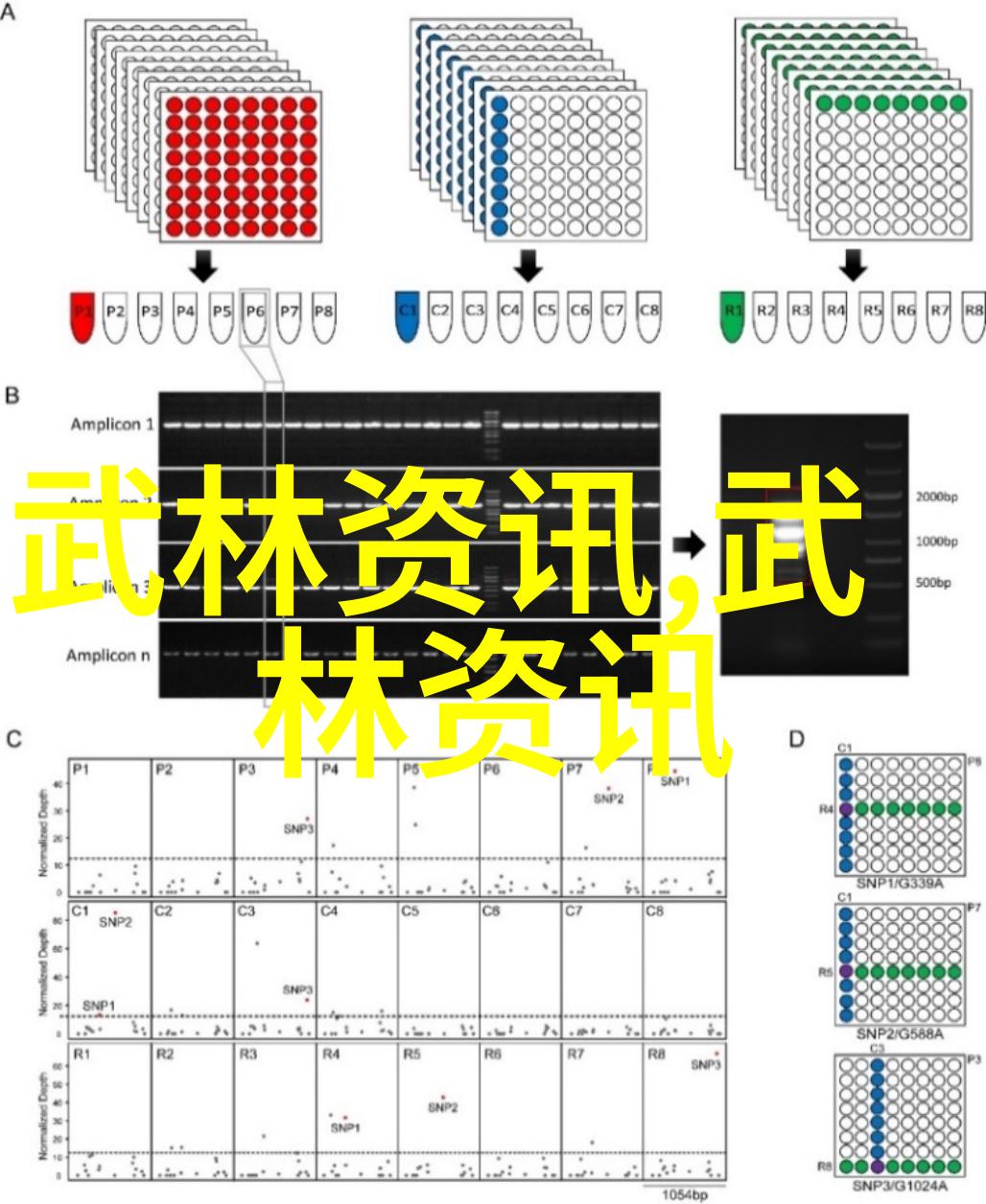 武术实战技巧教程解析