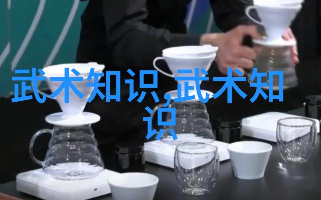 重塑传统现代化应用于古老的武术流派与招式体系