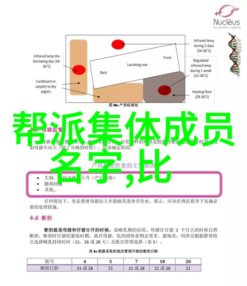 揭秘武林世界各路武功门派的神秘面纱