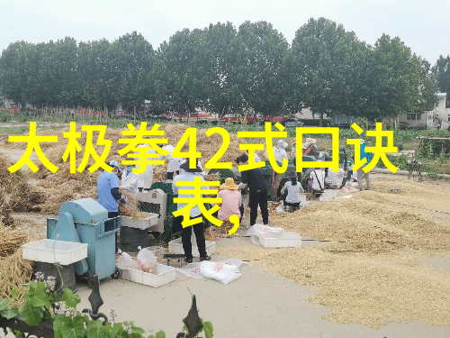 太极拳24式一步一步的教跟我一起学太极从初学者到小达人