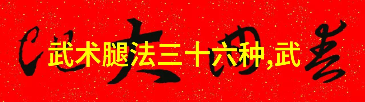 中国武术流派考察与比较从内家到外家探索传统与创新