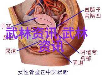 武林帮派霸气崛起徐侠客成自然门开派宗师