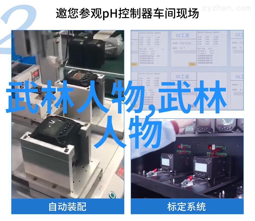 为什么需要找一个导师来辅助我的武术自学之路