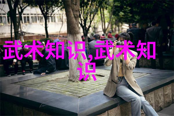 春风不负蒋公子咏春拳法的传承与魅力