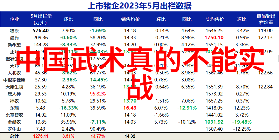 身法秘籍名称隐世掌门的绝学