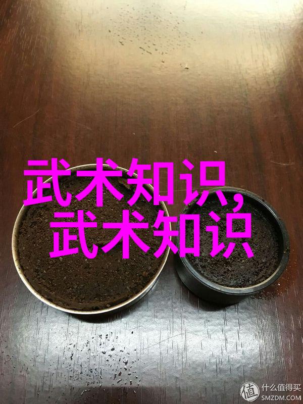 湖南武术的古韵与现代魅力