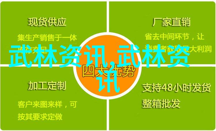 武功自学教学视频-独行侠的修炼之路如何通过视频掌握武林绝技