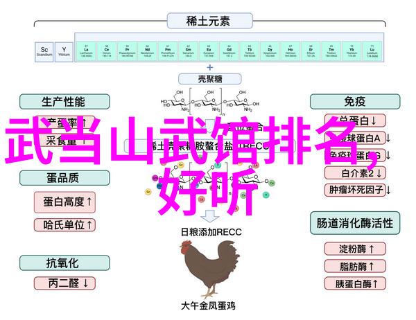 武林秘籍招式大全带图三皇炮捶攻防实战精选上