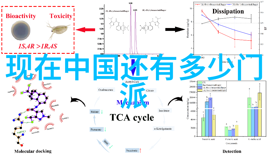 搞笑逗比的帮派名字大全任意浑圆太极拳难道不是吗