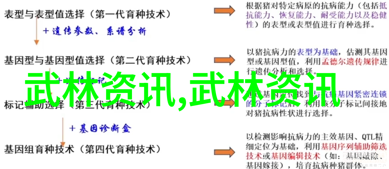 少林寺内流传着几种秘密高级打击技巧呢这些技巧是什么样的