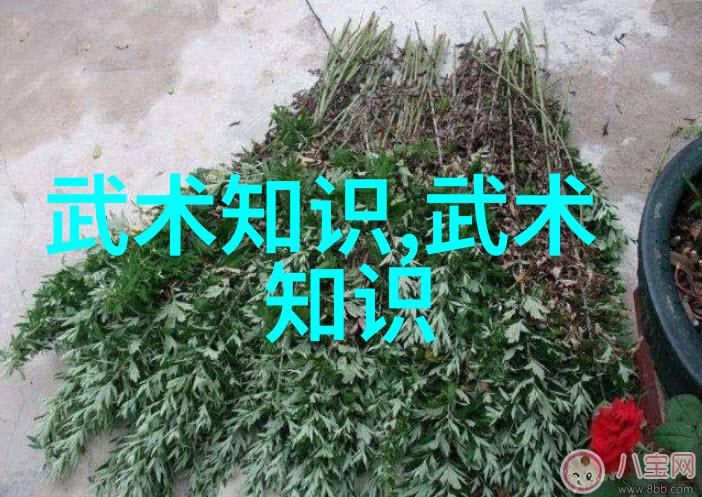 花开富贵背后的智慧精选10个让人沉醉的帮助协助命名建议