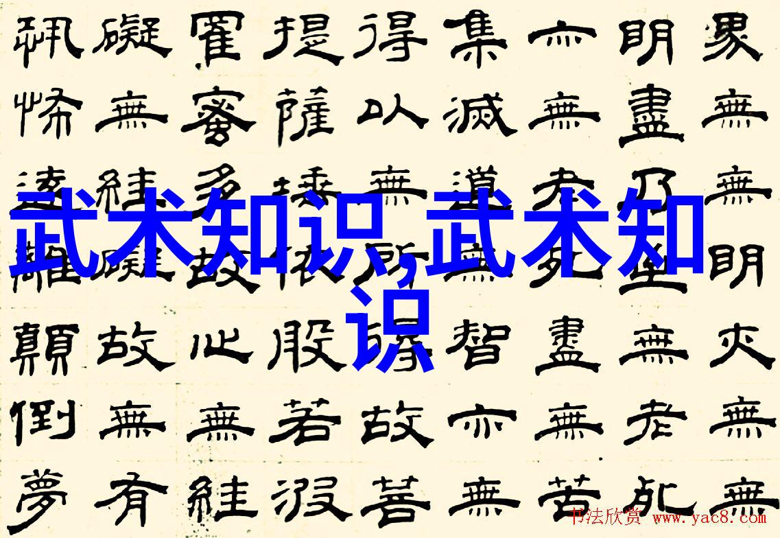 湖南省益阳市太极拳协会武术表演亮相34天下洞庭爱在大益阳2017年益阳市春节联欢晚会