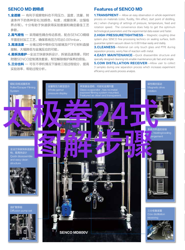 少儿散打武术教育研究提升身心健康与自我防卫能力的策略探究