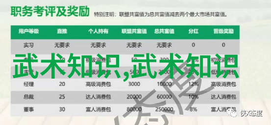 掌握内功外运不同流派形式解读与训练方法对比分析