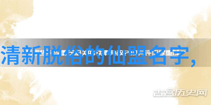 八极拳探究之旅48式太极拳全套口令视频演练