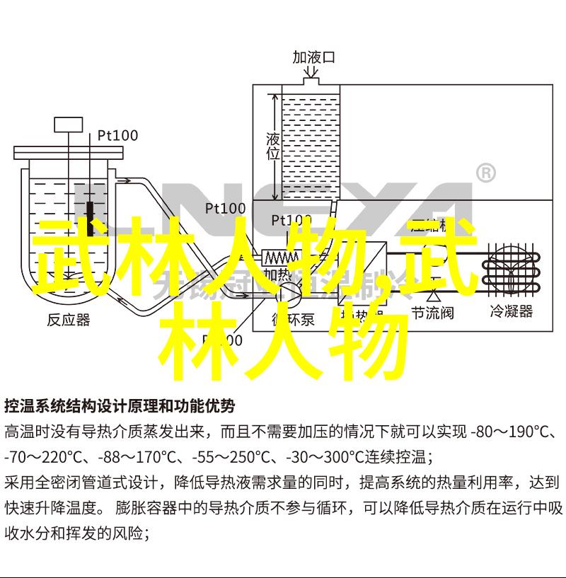 江湖之巅世界排名第一的武术