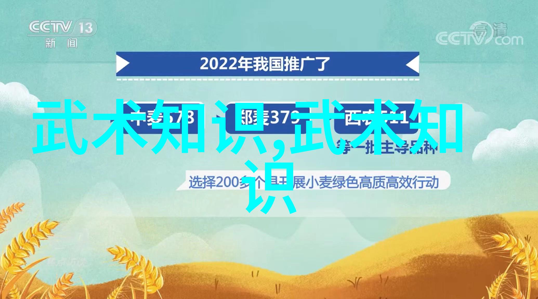 在这个世界里一切都有其对立面而我们要去探寻这一二三四五的背后是不是真正意义上的平衡