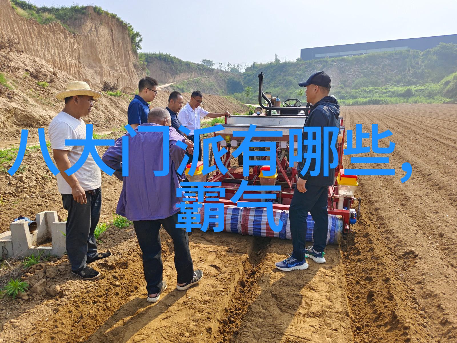 风华山庄宗岳太极拳于翠绿之林中挥洒古韵