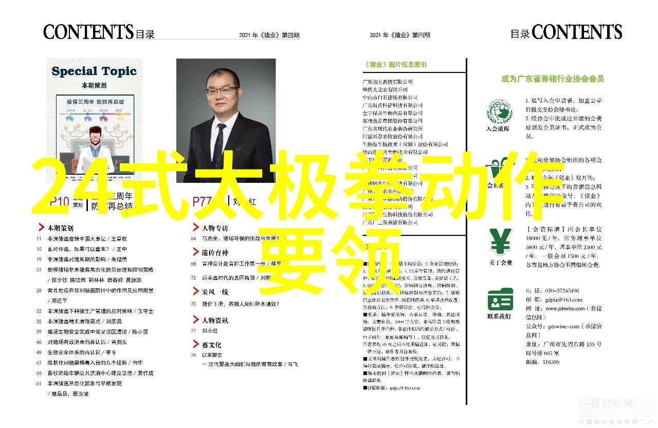 武术的12个基本动作解析其内在结构与实践应用