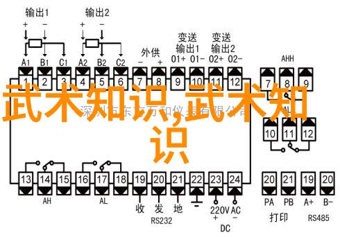 武术探秘-形意拳哪个流派厉害揭秘各家独门技巧