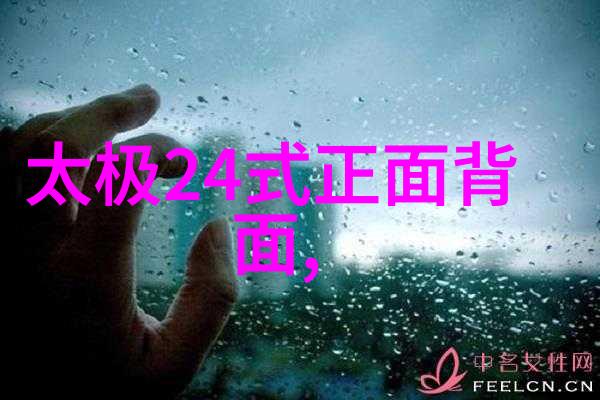 雷霆出手风雨中的人物魅力以女子为主的忍者团体