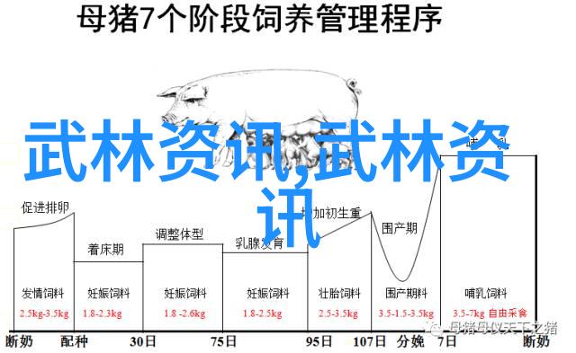 灵韵拳舟武当松溪神意派内家拳之航