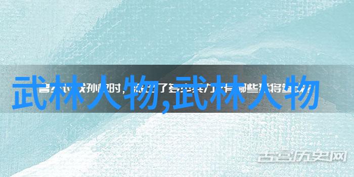 道医养生愚者重拳智者悟道自己在家练武术的教程