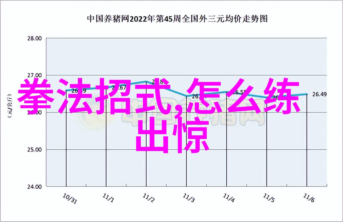 中华武学宝库揭秘中国武术十大拳法之冠