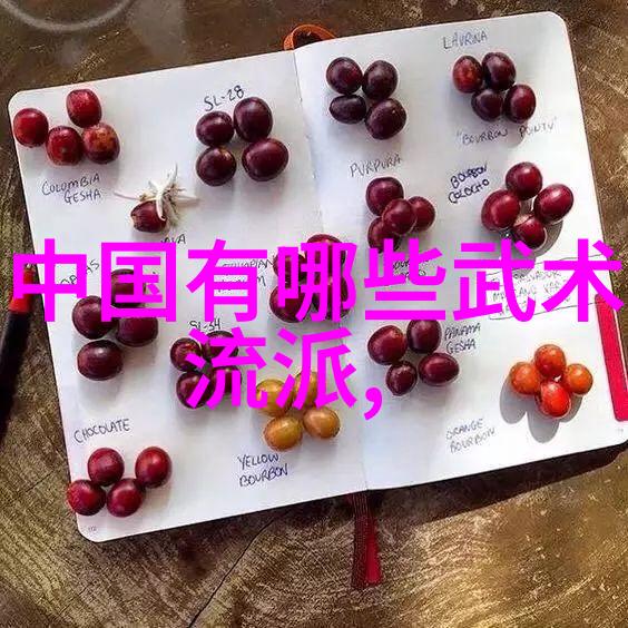 李红苗12小时站桩之谜