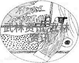 全国武术门派的丰富多彩与深厚文化底蕴