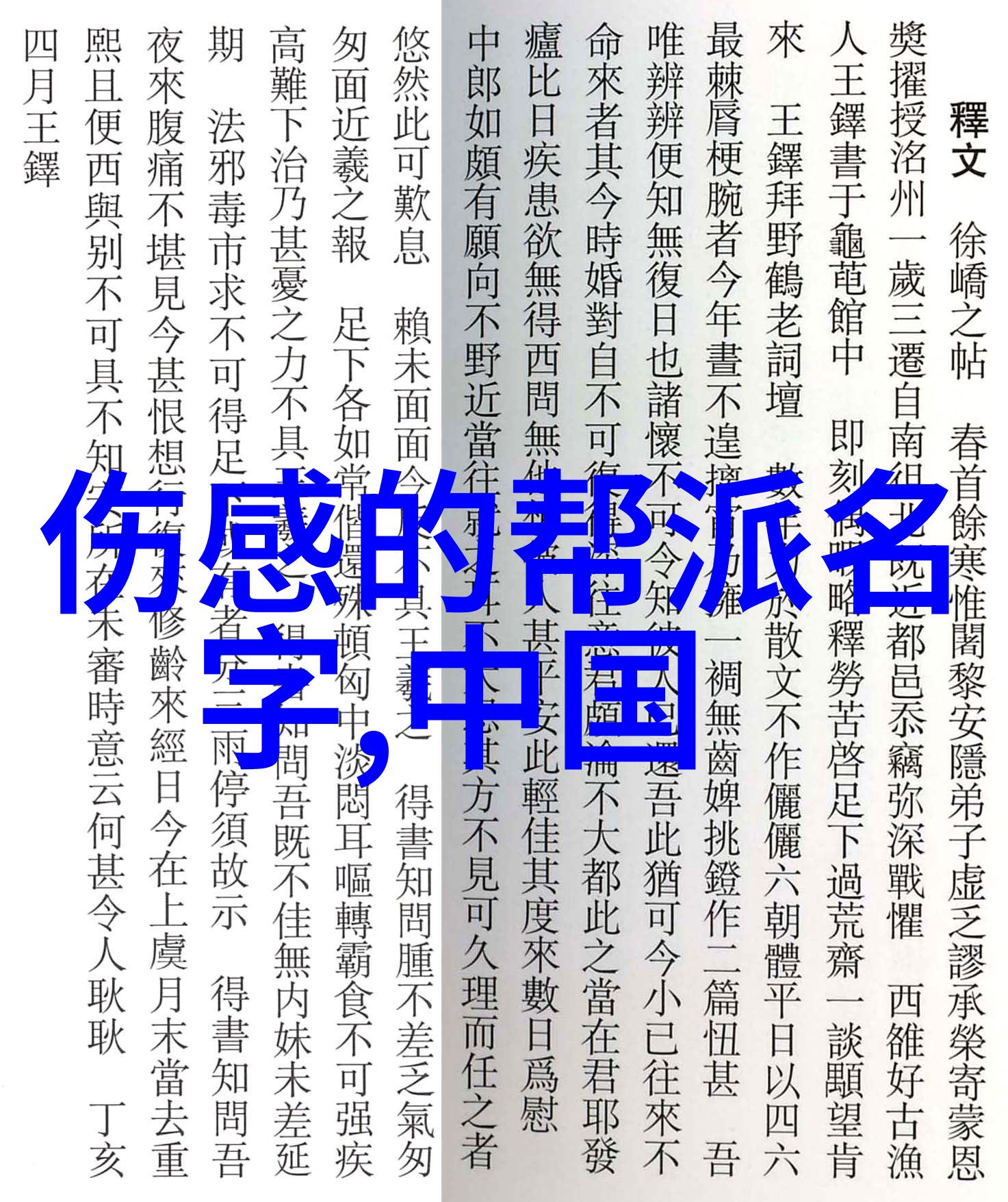 武当十五代传人有多少门派拳种南派太极拳与之对照