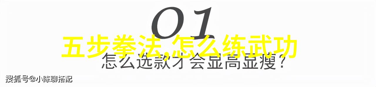 河北形意拳内劲练习秘诀揭秘少林最强大拳法