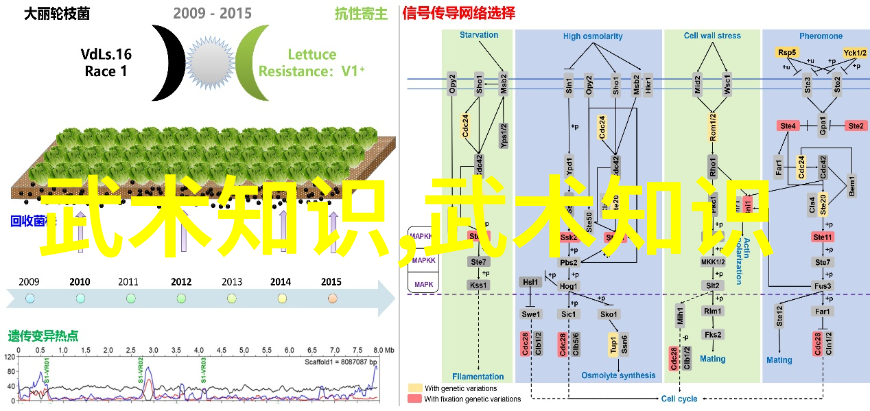 武术与文化交流武术在全球的传播与影响