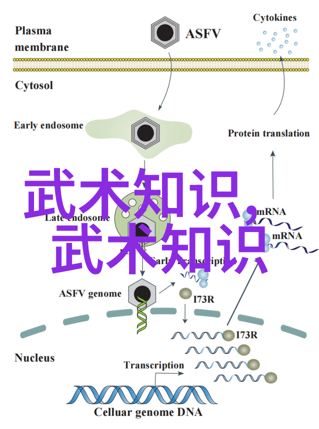 霸气帮派的雄心帝国之翼