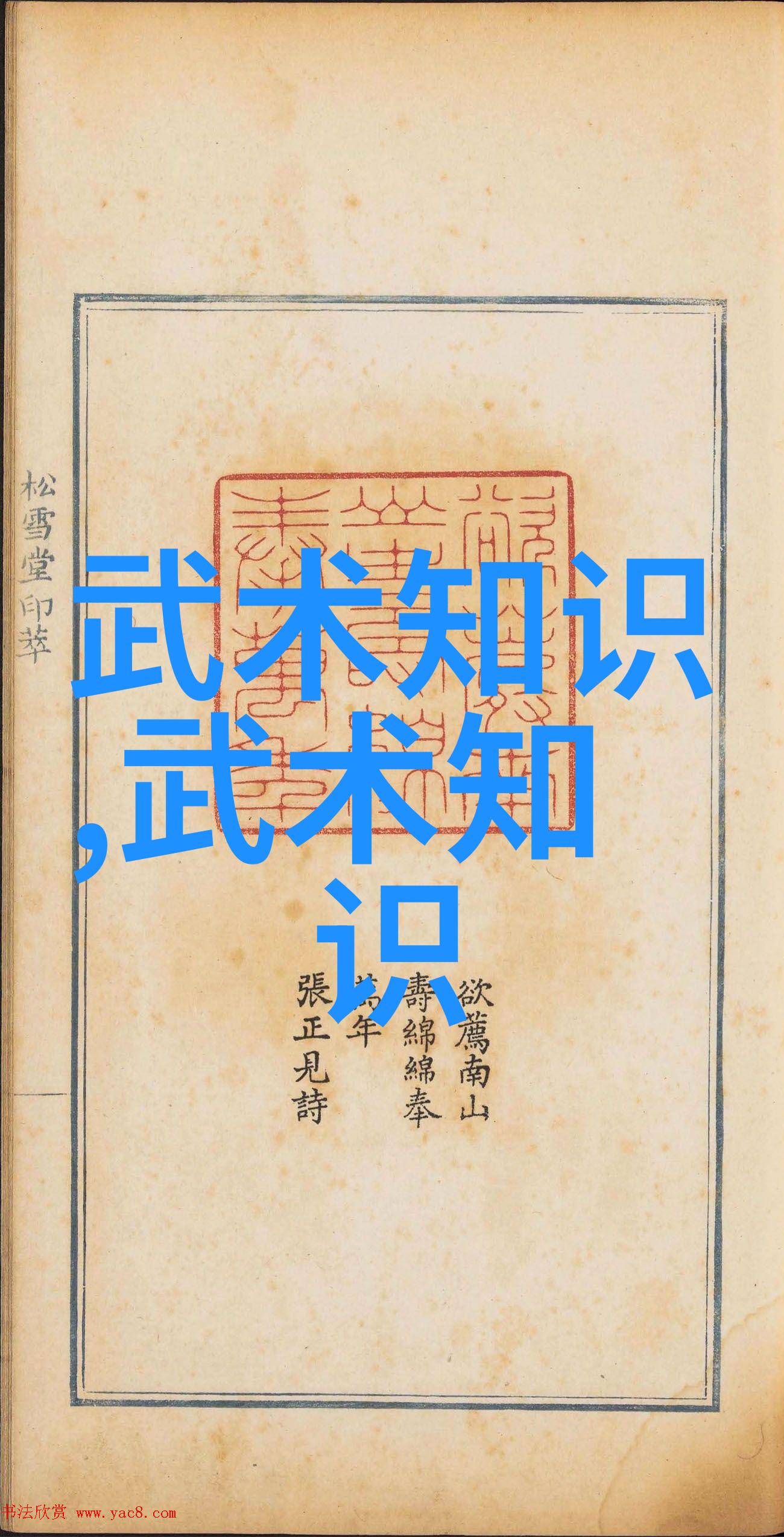 少儿散打武术 - 少儿身手俐落探索散打武术在孩子成长中的积极作用