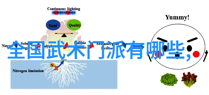 武林绝学一剑轻功秘籍